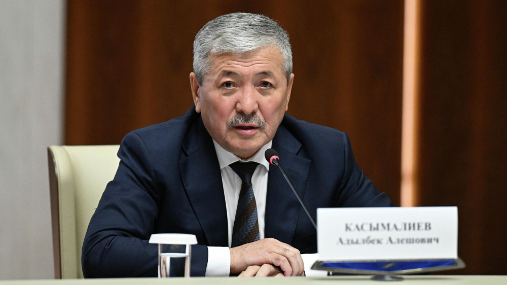 Почему Кыргызстан дает землю инвесторам на 49 лет? Объяснение главы кабмина