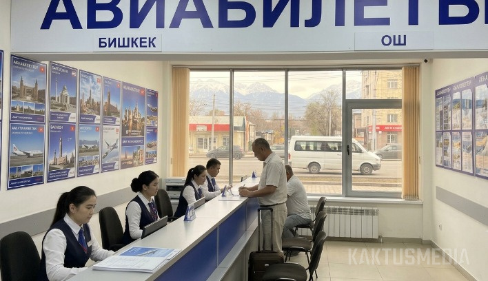 В КР хотят ввести реестр туроператоров и авиакасс и придавать им статус регистрации