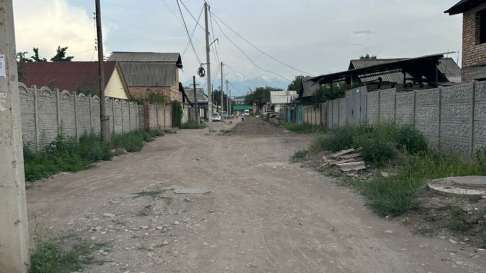 "Сняли асфальт, вырубили деревья и ушли". Горожане жалуются на затянувшийся ремонт улицы