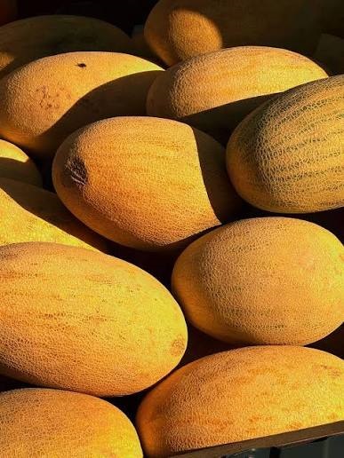 Отсутствовал сертификат. Кыргызстан вернул Казахстану 1,7 тонны дыни