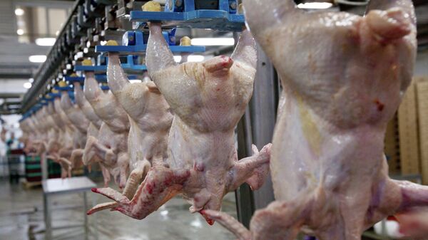 Экспорт мяса птицы из КР заметно вырос. Основные покупатели — страны ЕАЭС