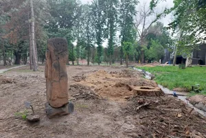 В Дубовом парке Бишкека не убирают ветки и пни после вырубки деревьев