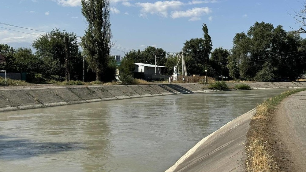 Горожане беспокоятся, будут ли сносить дома около БЧК. Мэр ответил (видео)