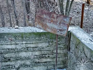 В кабмине КР предложили уменьшить санитарные зоны вокруг очагов сибирской язвы