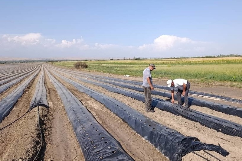 Kyrgyzstan proposes 10-year water management program with shift to drip and sprinkler irrigation