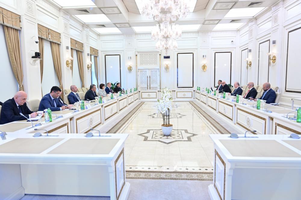 Обсуждено расширение межпарламентского и гуманитарного сотрудничества Азербайджана и Палестины (ФОТО)