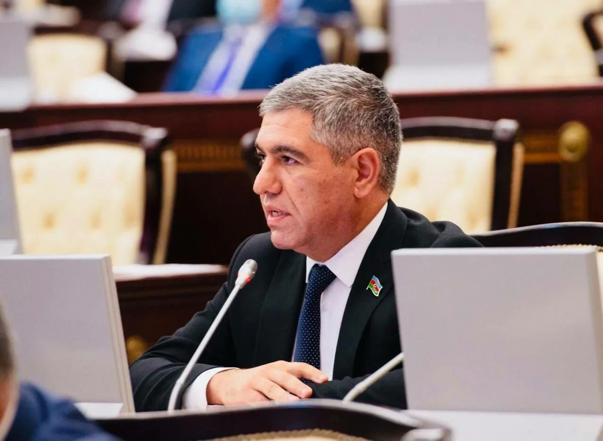 В Милли Меджлисе привели Нидерланды в пример азербайджанским фермерам