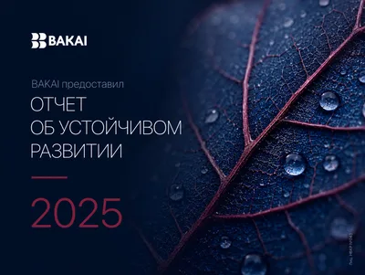 BAKAI опубликовал отчет в области устойчивого развития