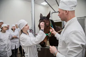 Новые требования к ветаптекам утвердил кабмин. Что изменится
