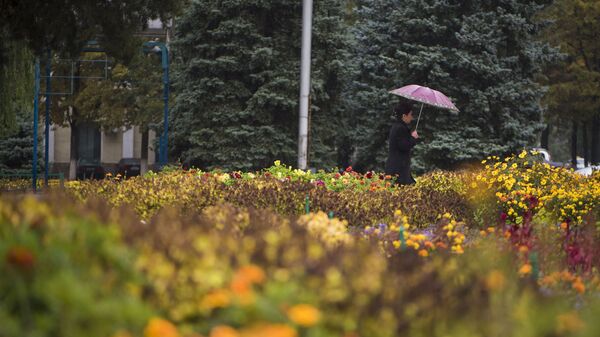 Временами дожди, грозы — погода в Бишкеке с 23 по 29 апреля
