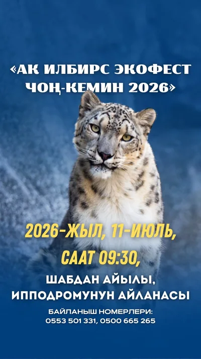 В Кыргызстане пройдет «Снежный барс ЭкоФест Чон-Кемин 2026»