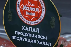 Введены штрафы за нарушения в сфере халал-индустрии. Президент подписал закон