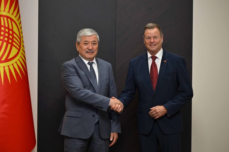 Bundestag members praise Kyrgyzstan's development pace
