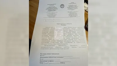 Предпринимателей в Бишкеке просят приостановить работу на два дня?