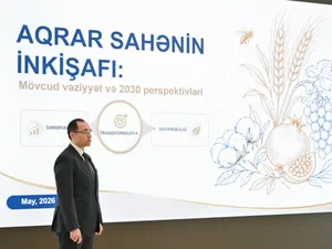В 2025 г. объем производства продукции в агросекторе составил 14 млрд манатов