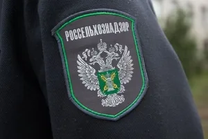 Контроль за поставками продукции из Кыргызстана усилил Россельхознадзор
