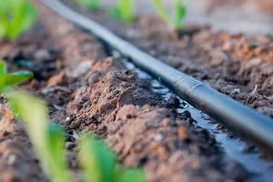 Служба водных ресурсов будет единым заказчиком по скважинам и развитию капельного орошения