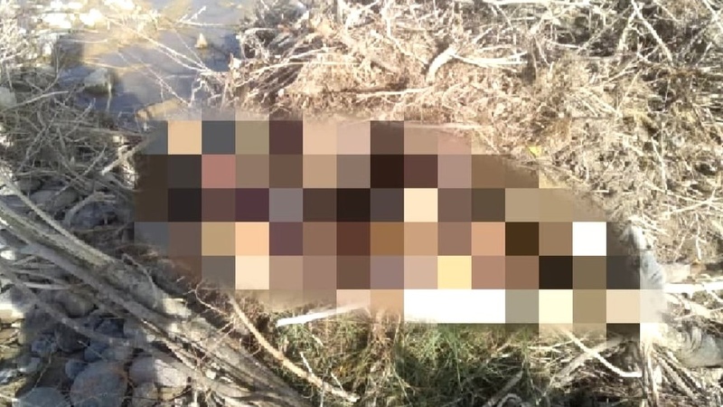 Police release details regarding body recovered from canal in Osh region