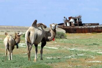 Kyrgyzstan plans to restore 300,000 hectares of degraded land by 2030