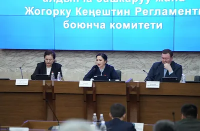 Комитет Жогорку Кенеша одобрил поправки в конституционный закон о ЦИК в первом чтении