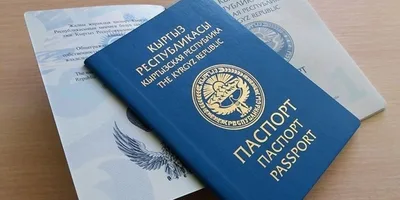 Операторы связи, нотариусы и кредитные бюро КР получат доступ к реестру паспортов граждан