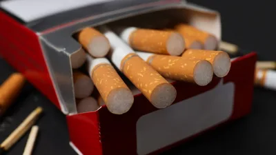 Из Кыргызстана в Казахстан нелегально поставляли сигареты: канал ликвидирован