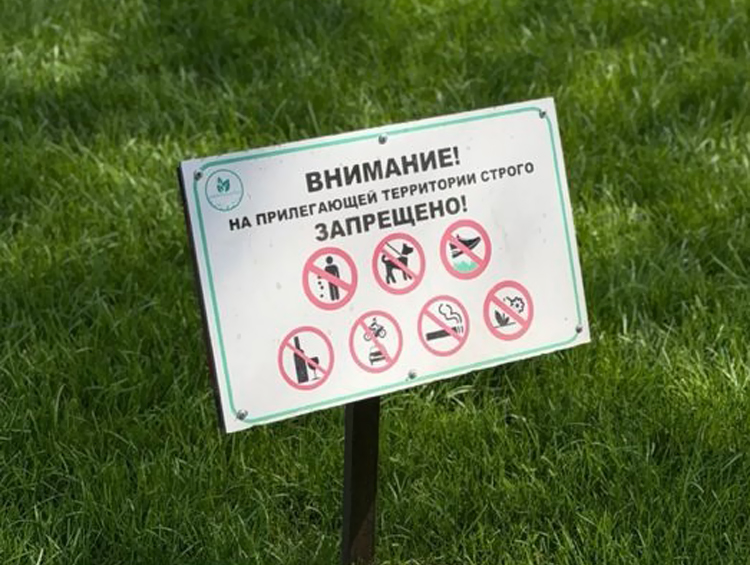 Смотрите, но не наступайте — за хождение по газонам в Бишкеке будут штрафовать