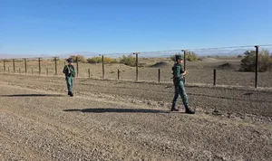 ГПС подвела итоги борьбы с незаконной миграцией и контрабандой за май