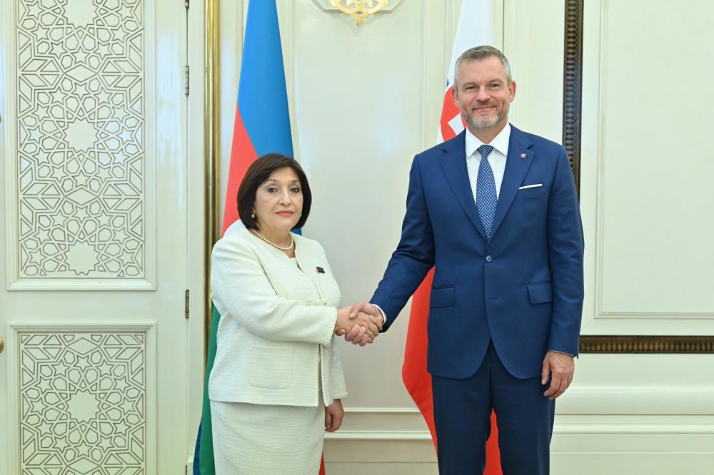 Спикер Сахиба Гафарова провела обсуждения с Президентом Словакии (ФОТО)