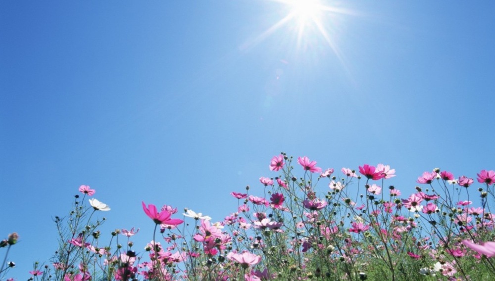 Прогноз погоды по Кыргызстану на июль-2026 🌸