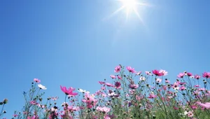 Прогноз погоды по Кыргызстану на июль-2026 🌸