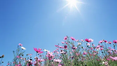 Прогноз погоды по Кыргызстану на июль-2026 🌸