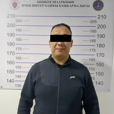 Бывший телохранитель Атамбаева Дамир Мусакеев освобожден из-под стражи
