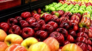 Экспорт фруктов из Кыргызстана. Куда и сколько мы поставляем
