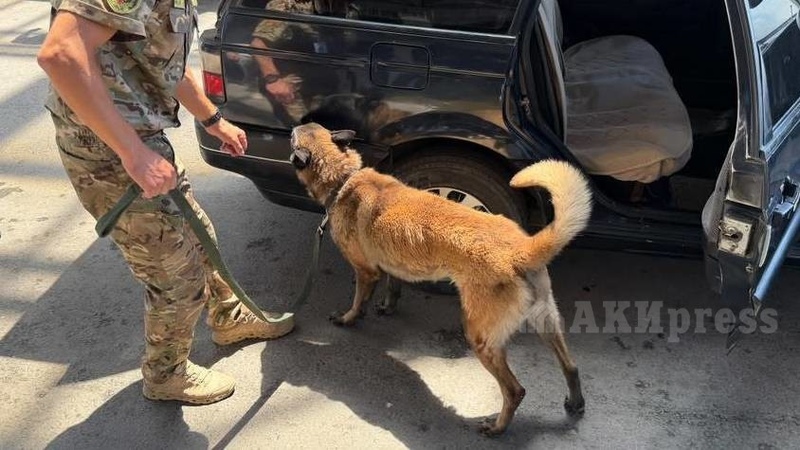 Sniffer dogs and border guards demonstrate 5-minute vehicle inspections at Ak-Jol checkpoint