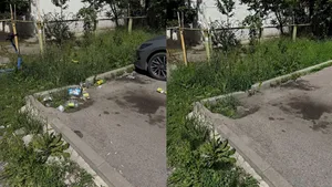 Мусор “убрали“с помощью ИИ? Алматинку удивил фотоотчет акимата