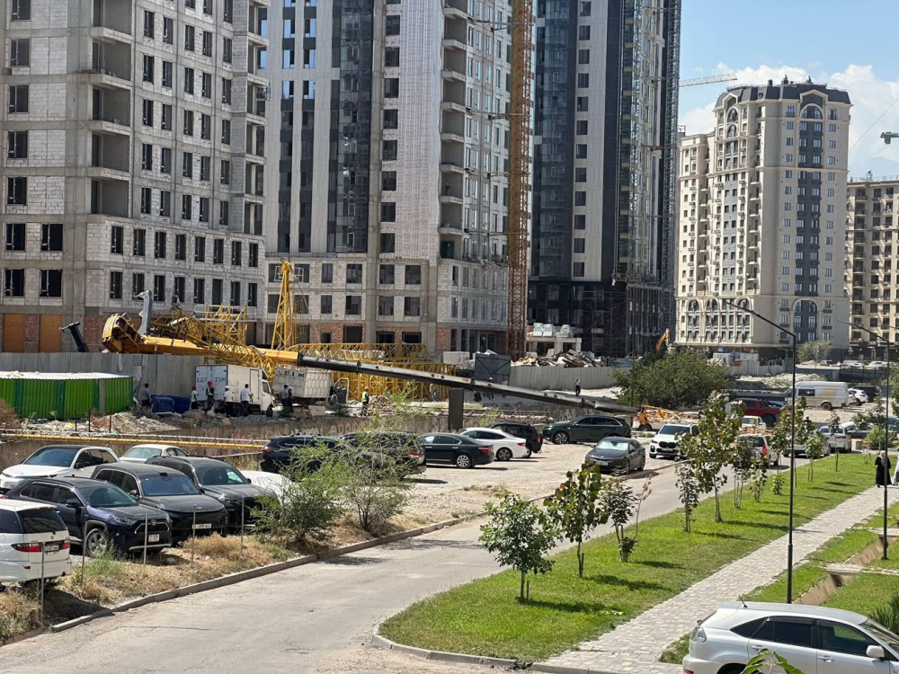 Упал строительный кран. Специалиста уволили, компанию оштрафовали