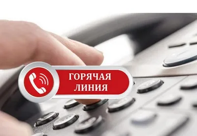 Куда звонить по вопросам земельной амнистии и градостроительства. Номера телефонов