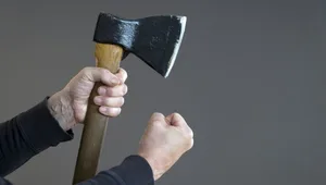 Экс-замминистра обвинили в нападении с топором на мужчину. Чем закончилось дело?