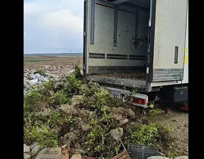 В Кыргызстане уничтожили 30 000 декоративных саженцев из Китая