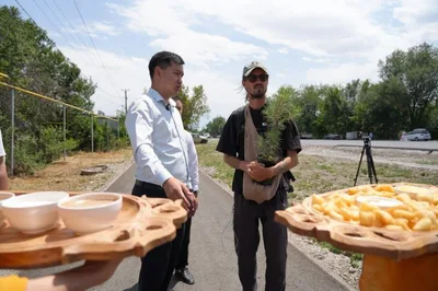 Экоактивист с саженцем сосны пришел из Каракола в Бишкек