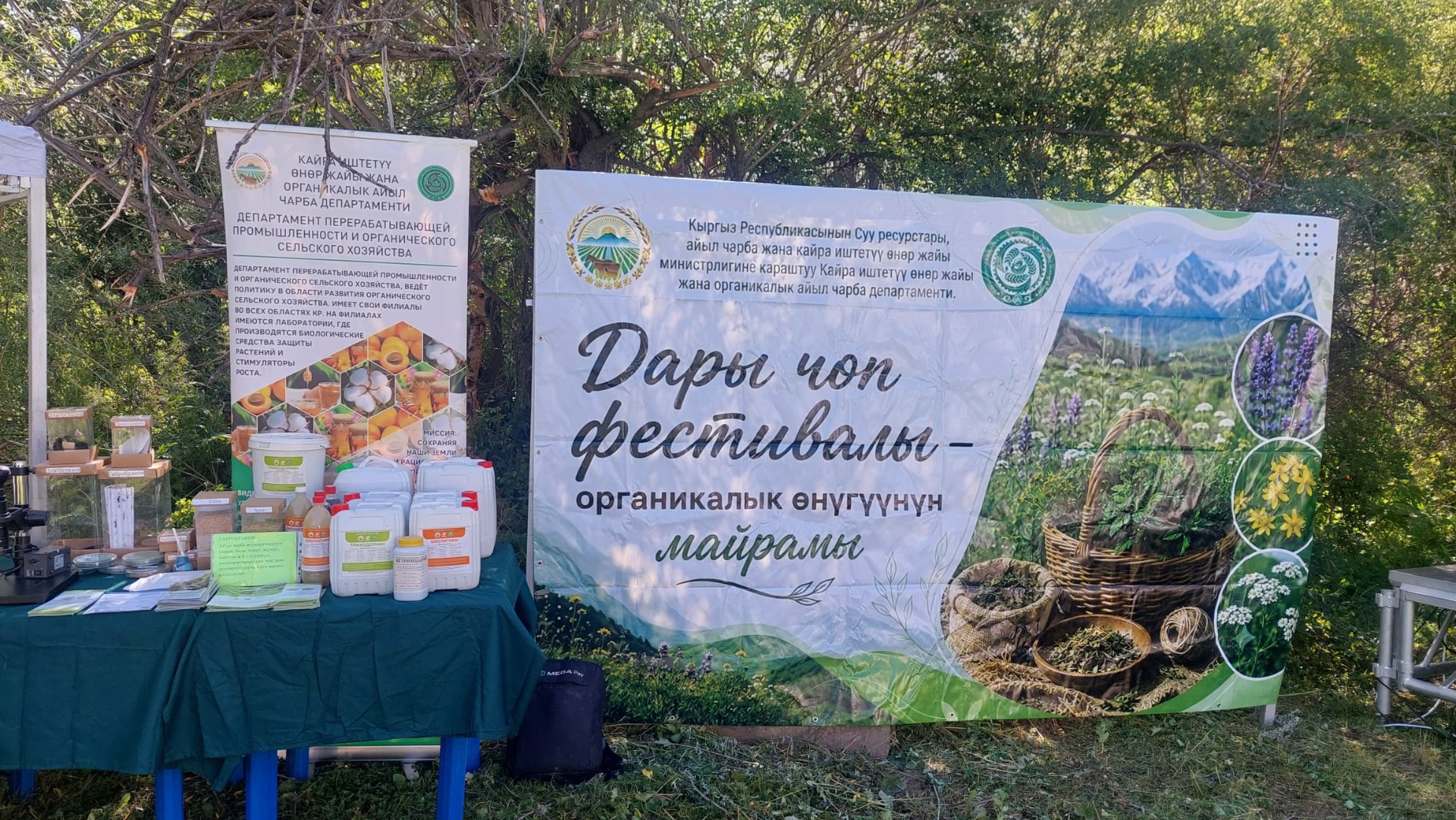 В Суусамыре прошел Фестиваль лекарственных растений