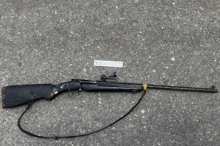 Illegal firearm seized from man in Alai district