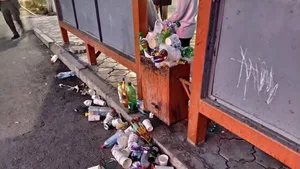 Не Бишкек, а колхозный город. Мэр не согласен с критикой жителей