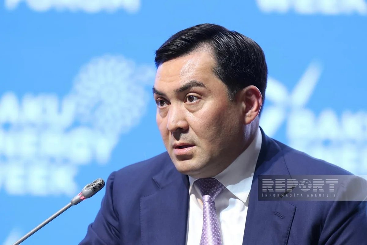 Ерлан Аккенженов: Казахстан намерен использовать часть резервной мощности БТД