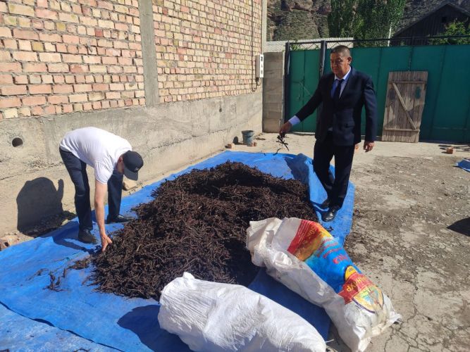 54 kilograms of rare endik plant roots confiscated in Naryn