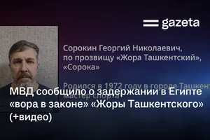 МВД сообщило о задержании в Египте «вора в законе» «Жоры Ташкентского» (+видео)