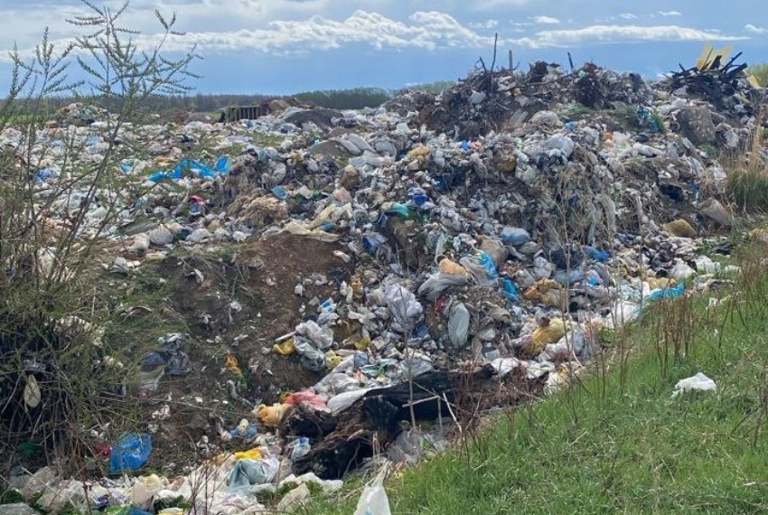В Ананьево жалуются на полигон с тушами животных рядом с домами
