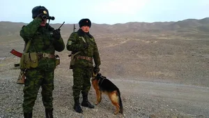 ГКНБ больше не отвечает за границу. Поправки поступили в парламент