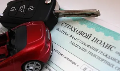 Кабмин КР изменил правила расчета выплат по ОСАГО за вред жизни и здоровью